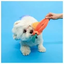 The Furry Folks Accessoires Animaux*Jouet de fouille |