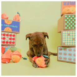 The Furry Folks Accessoires Animaux*Jouet de fouille |