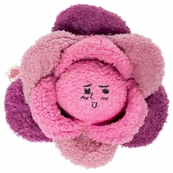 The Furry Folks Jouet de fouille Red Cabbage || Accessoires Animaux