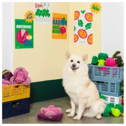 The Furry Folks Jouet de fouille Red Cabbage || Accessoires Animaux