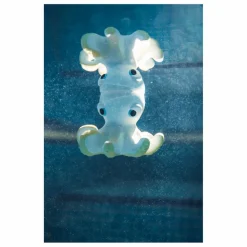 Clearance Jouet pour le bain Orlando la pieuvre Jouets D'Éveil|Jouets D'Éveil