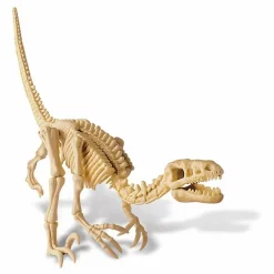 4M Jeux Éducatifs*Kit déterre ton dinosaure Vélociraptor
