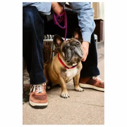 Hay Accessoires Animaux*Laisse réglable |