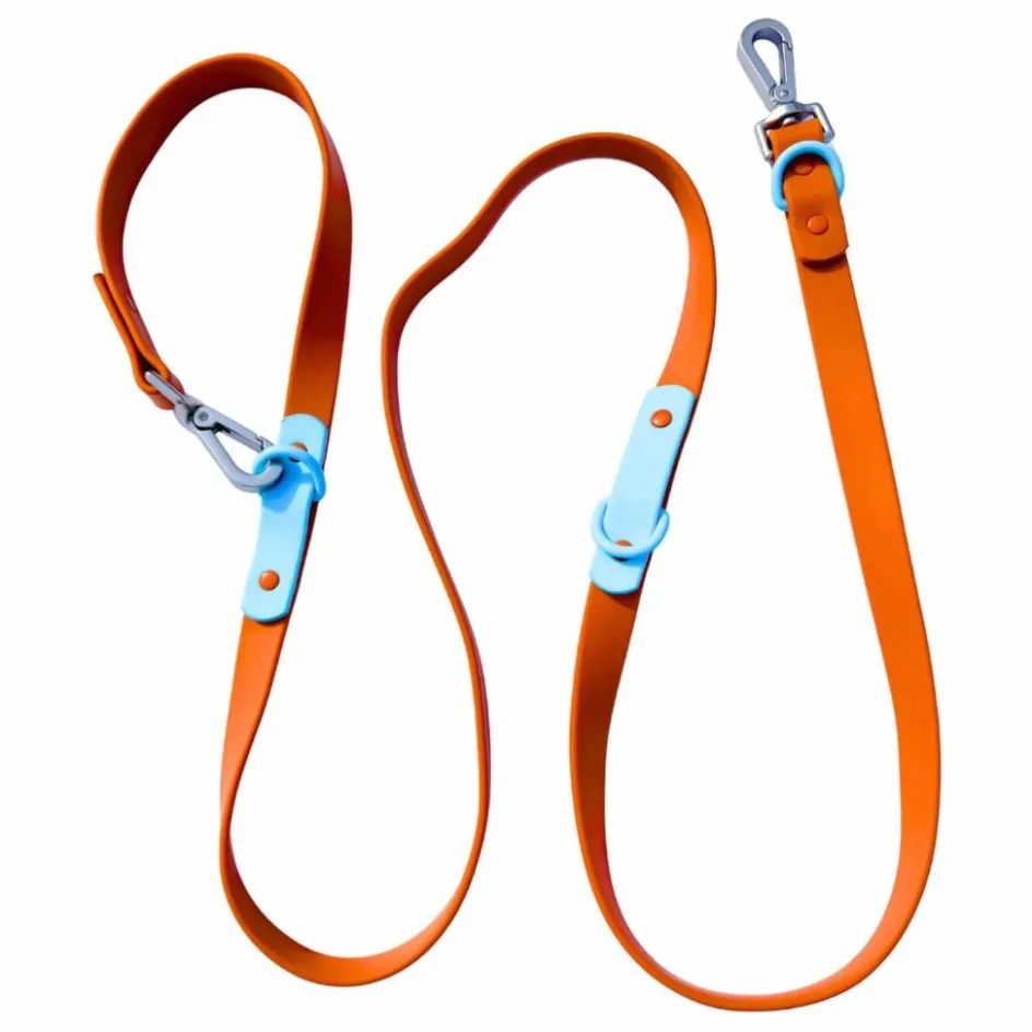 Approved by Fritz Laisse réglable pour chien || Accessoires Animaux