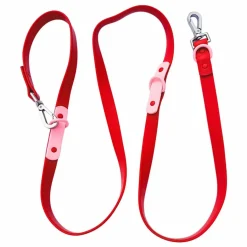 Online Laisse réglable pour chien | Accessoires Animaux