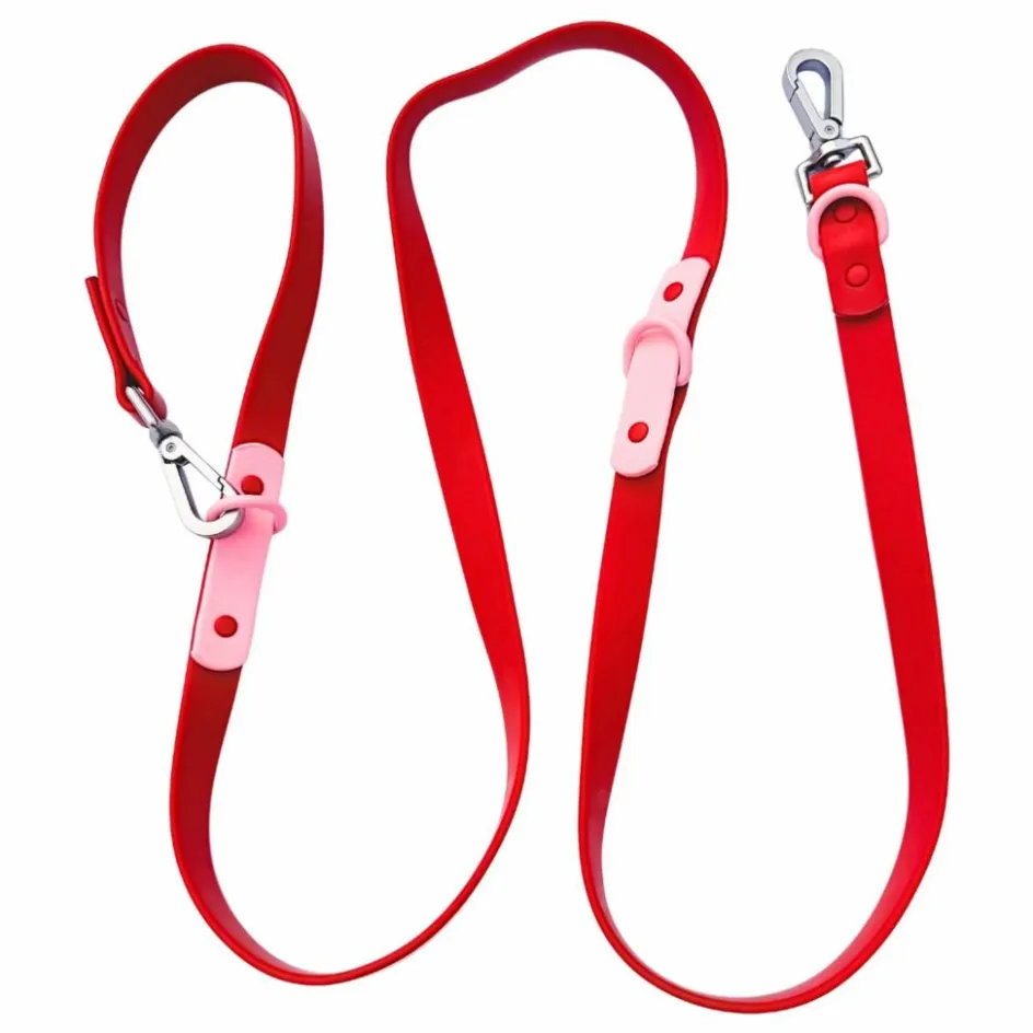 Online Laisse réglable pour chien | Accessoires Animaux