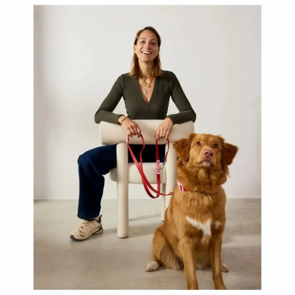 Online Laisse réglable pour chien | Accessoires Animaux