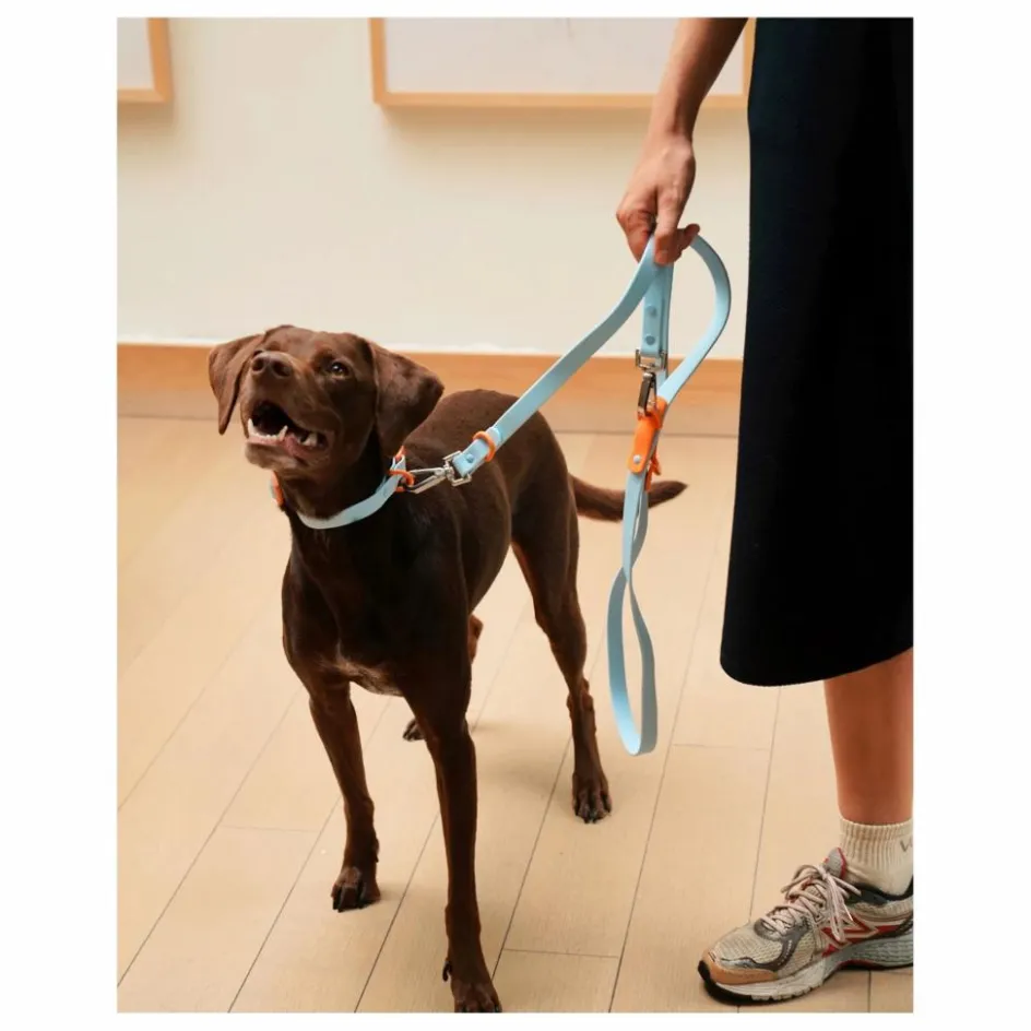 Approved by Fritz Laisse réglable pour chien || Accessoires Animaux