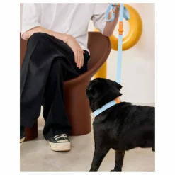 Approved by Fritz Laisse réglable pour chien || Accessoires Animaux