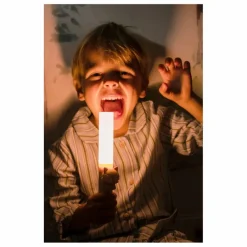 The Zoofamily Lampe de poche Renard || Jeux High-Tech