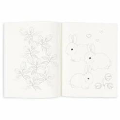 Konges Sløjd Livre de coloriage et crayons de couleurs Mizumi || Loisirs Créatifs