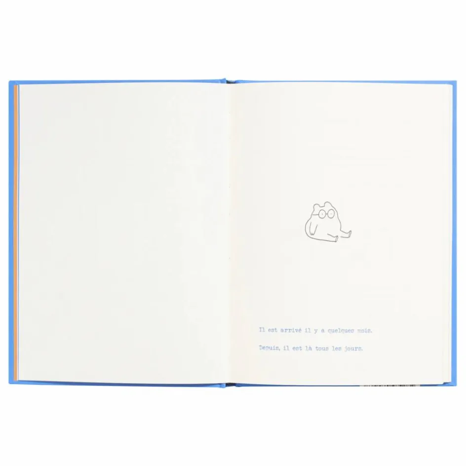 Best Livre Le nouvel arrivant Livres Jeunesse|Livres