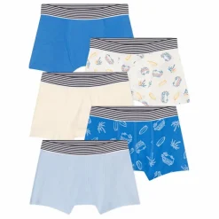 Petit Bateau Lot 5 Boxers Blueboard Coton Bio | Bleu