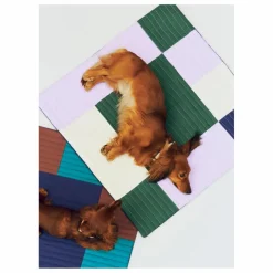 Hay Accessoires Animaux*Matelas de voyage pour chien |