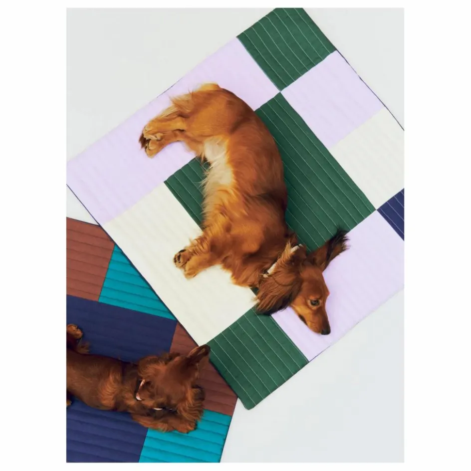 Hay Accessoires Animaux*Matelas de voyage pour chien |