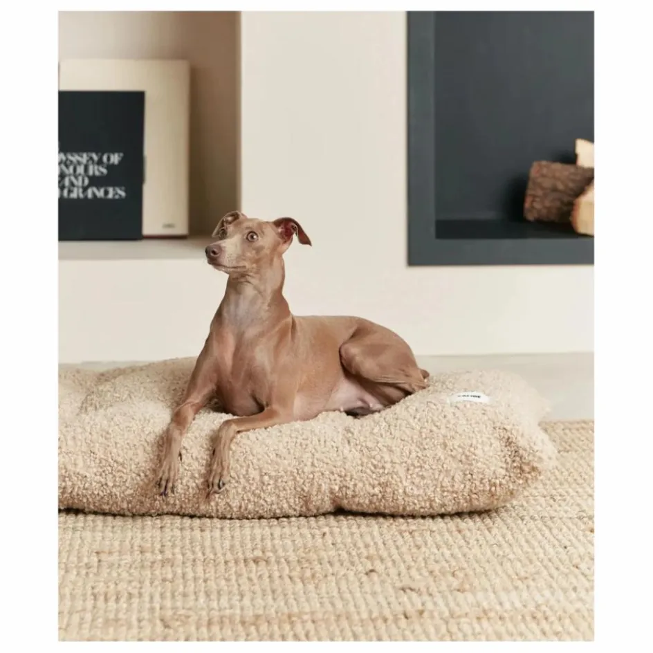 Cafide Accessoires Animaux*Matelas pour chien Bela |