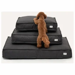 Cafide Accessoires Animaux*Matelas pour Chien Cuadra |
