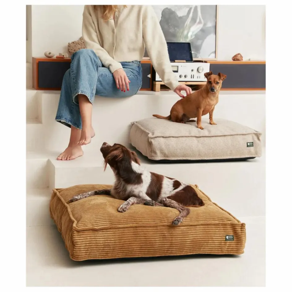 Cafide Accessoires Animaux*Matelas pour Chien en velours côtelé Cuadra |