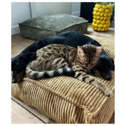 Cafide Matelas pour Chien en velours côtelé Cuadra | Vert
