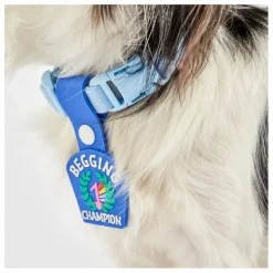 New Médaille Begging Champion | Accessoires Animaux
