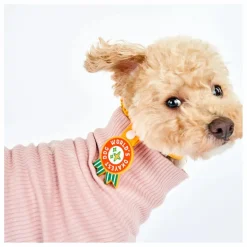 The Furry Folks Accessoires Animaux*Médaille World's Okayest Dog |