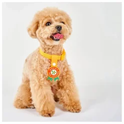 The Furry Folks Accessoires Animaux*Médaille World's Okayest Dog |