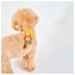 The Furry Folks Accessoires Animaux*Médaille World's Okayest Dog |