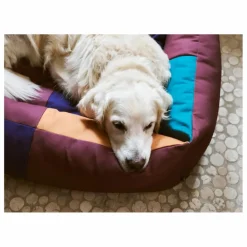 Hay Accessoires Animaux*Panier pour chien |