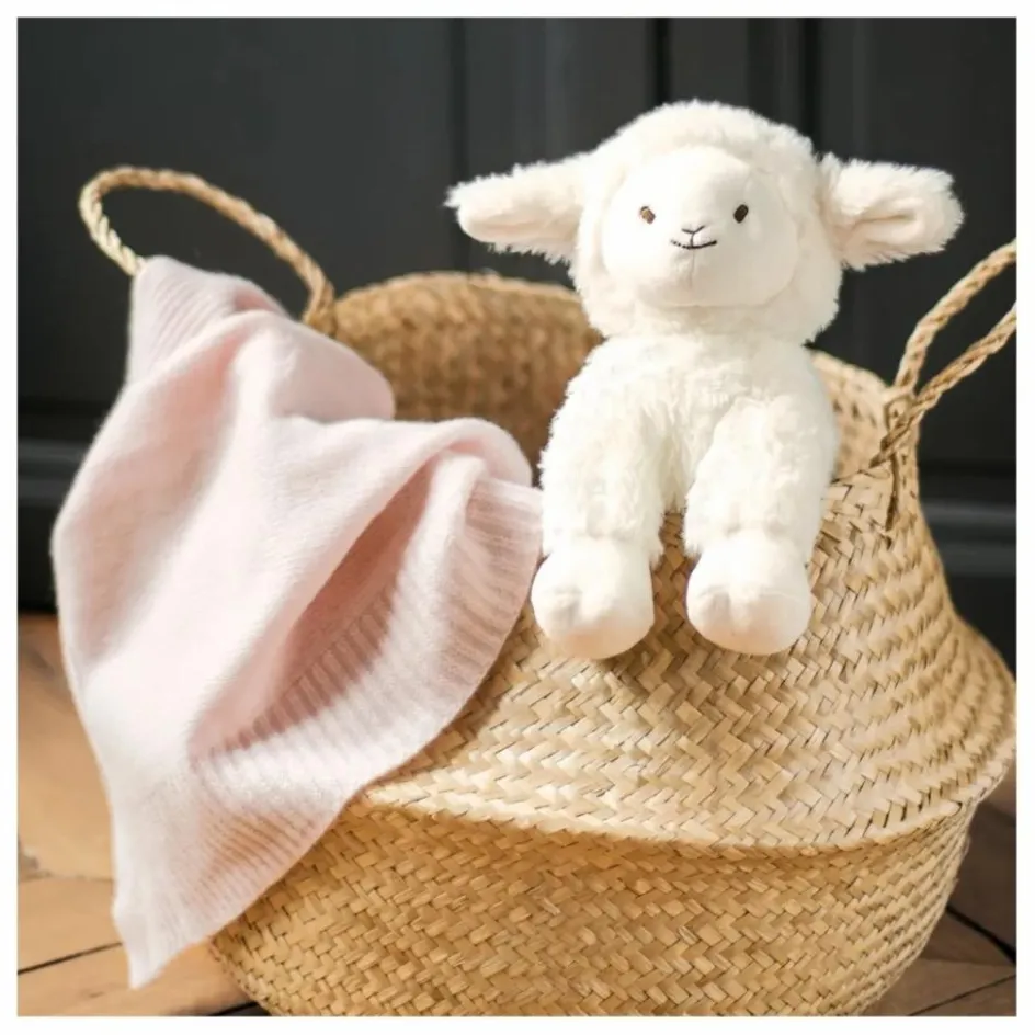 Sale Tartine et Chocolat Peluche Edmond le mouton | Ecru