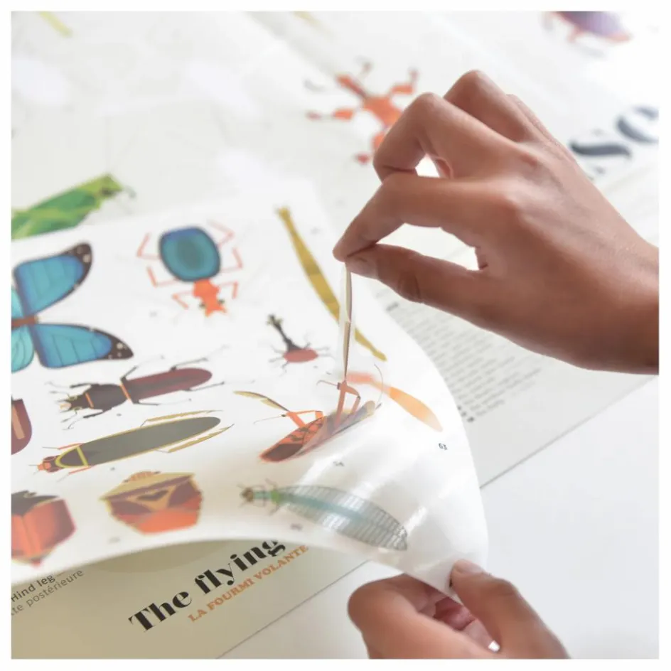 Online Poster sticker Les Insectes Loisirs Créatifs