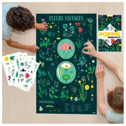 Poster stickers Botanique Loisirs Créatifs