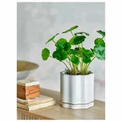 Outlet Bloomingville Pot de fleurs Argyle en grès | Gris