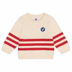 Petit Bateau Pulls, Gilets*Pull Bastien Coton Bio |