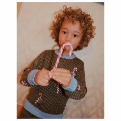 Enfant Flöss Pulls, Gilets|Pulls, Gilets*Pull Jasper Mérinos |