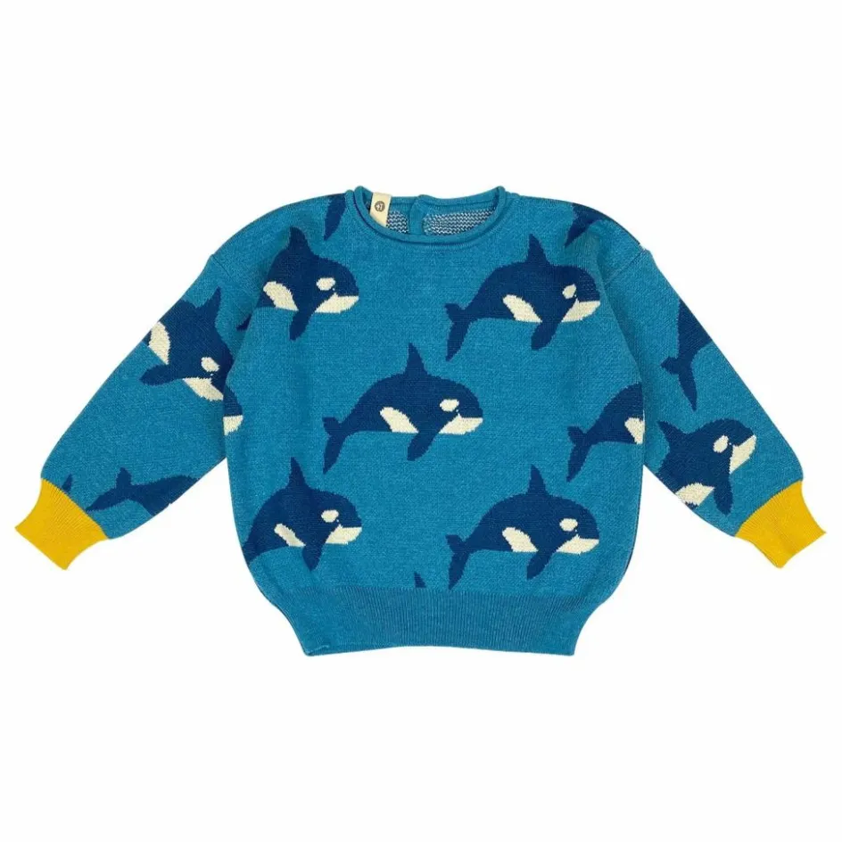 Enfant Bayiri Pulls, Gilets|Pulls, Gilets*Pull Orca Family Coton Bio |