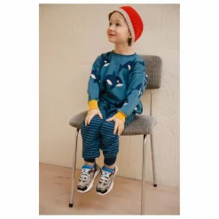 Enfant Bayiri Pulls, Gilets|Pulls, Gilets*Pull Orca Family Coton Bio |