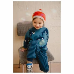 Enfant Bayiri Pulls, Gilets|Pulls, Gilets*Pull Orca Family Coton Bio |