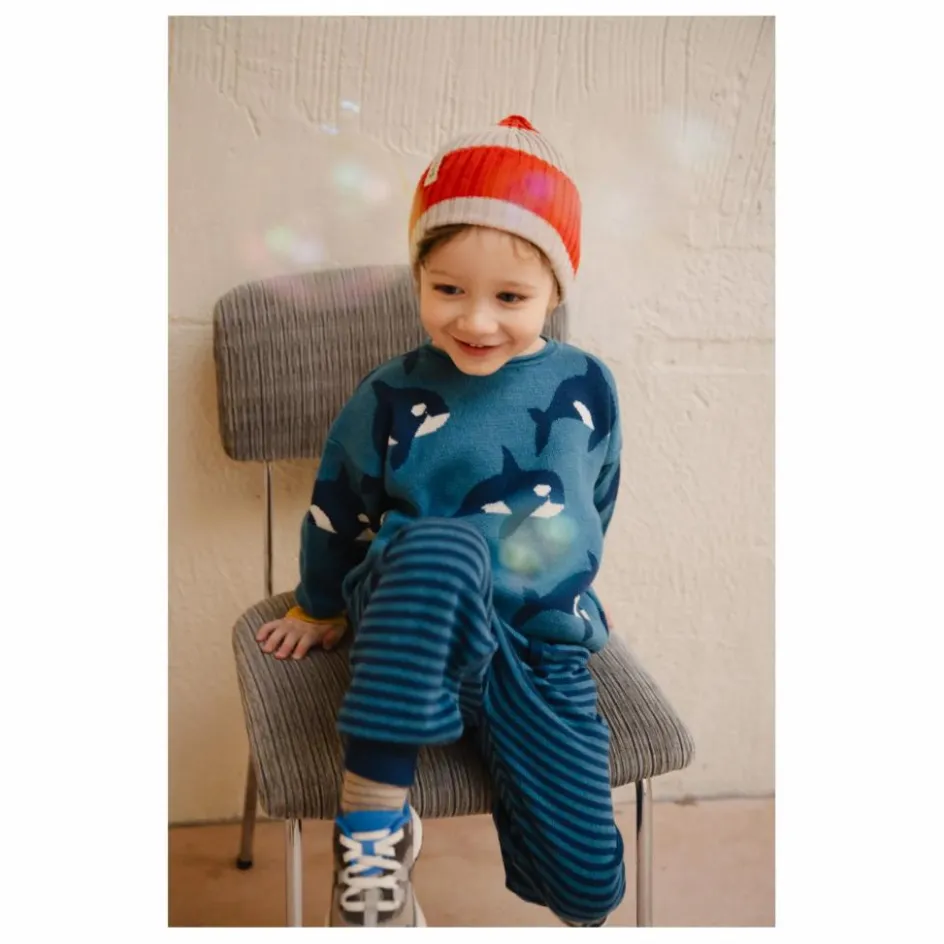 Enfant Bayiri Pulls, Gilets|Pulls, Gilets*Pull Orca Family Coton Bio |