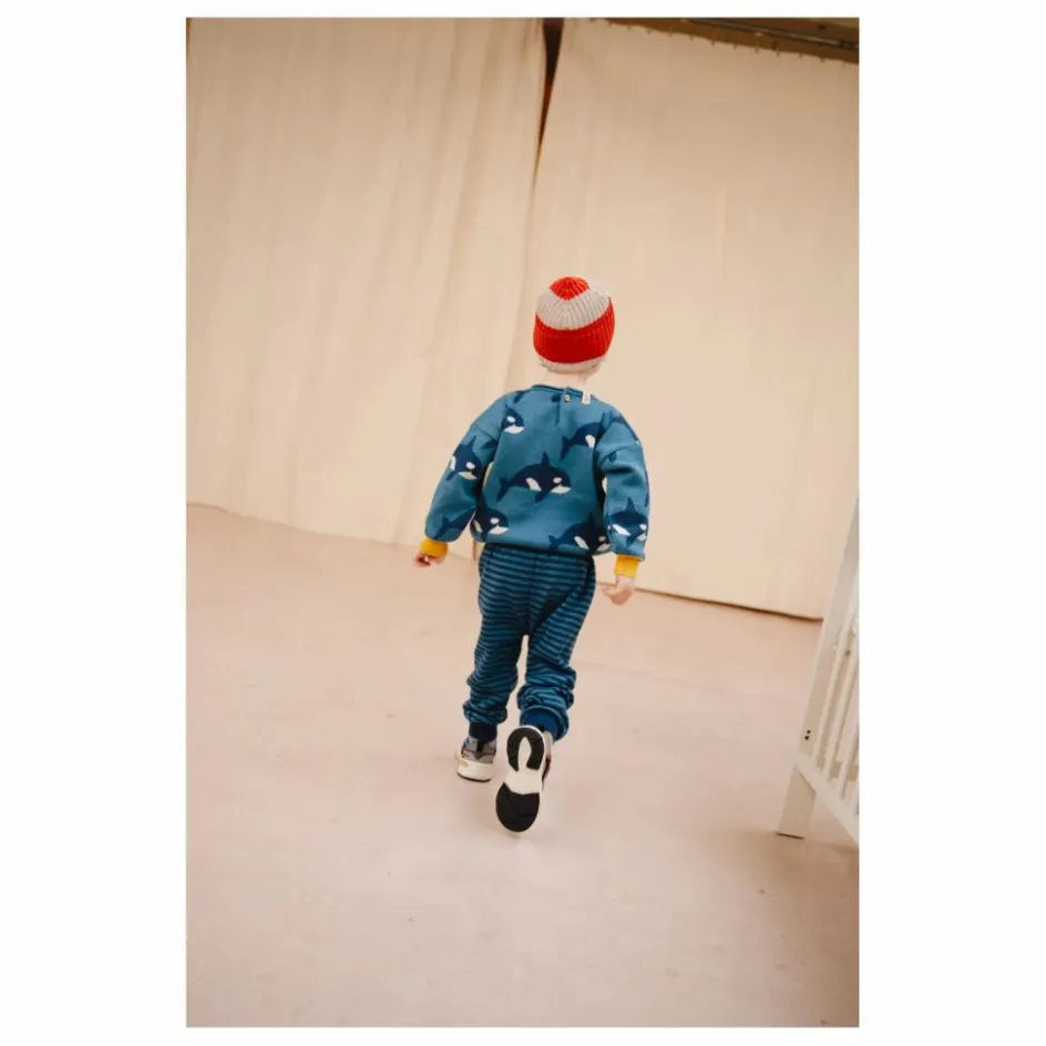 Enfant Bayiri Pulls, Gilets|Pulls, Gilets*Pull Orca Family Coton Bio |