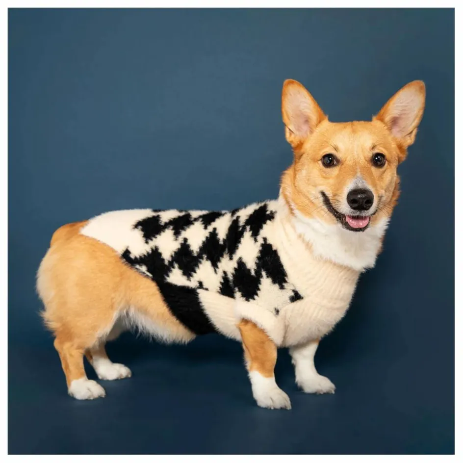 The Furry Folks Accessoires Animaux*Pull Pixmond |