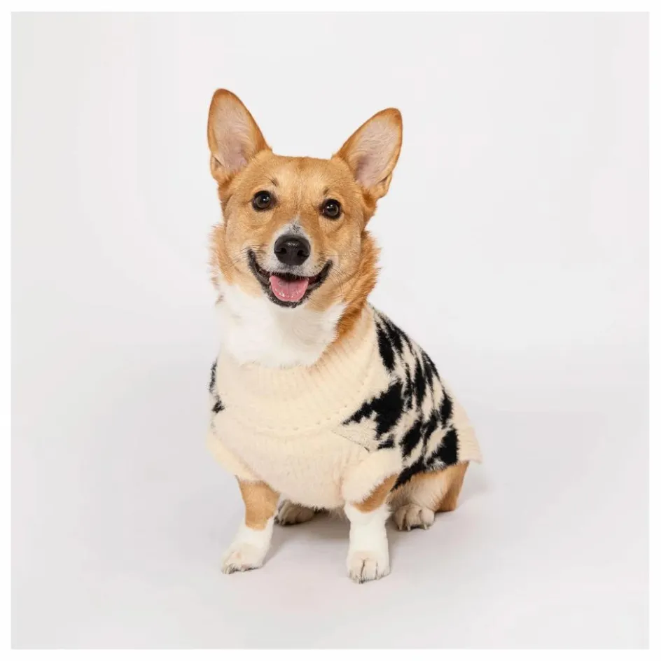 The Furry Folks Accessoires Animaux*Pull Pixmond |