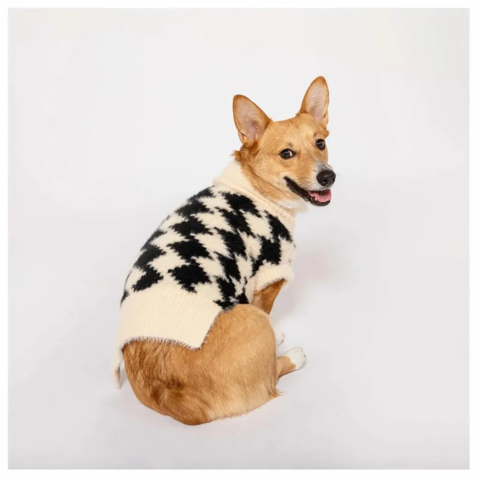 The Furry Folks Accessoires Animaux*Pull Pixmond |