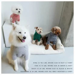 The Furry Folks Pull rayé || Accessoires Animaux