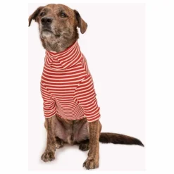 The Furry Folks Pull rayé || Accessoires Animaux