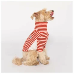 The Furry Folks Pull rayé || Accessoires Animaux