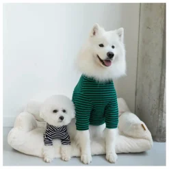 Sale Pull rayé | Accessoires Animaux