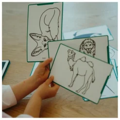 Kidywolf Recharge pour Kidydraw Mini - Pirates, princesses et animaux sauvages| Loisirs Créatifs