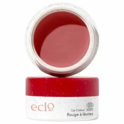 Femme Eclo Maquillage*Rouge à Lèvres |