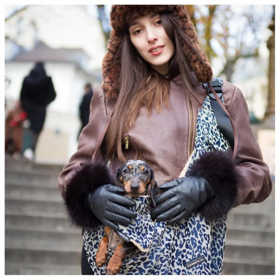 Caramel & Cie Accessoires Animaux*Sac Promenade Cross Body Léopard Chien |