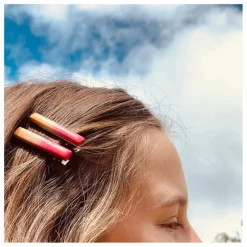 Beauw Set Deux Pinces ||Femme Accessoires Cheveux
